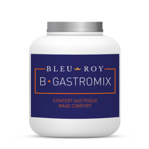 B-GASTROMIX Bleu-Roy 1kg Confort Gastrique