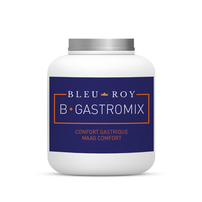 B-GASTROMIX Bleu-Roy 1kg Confort Gastrique