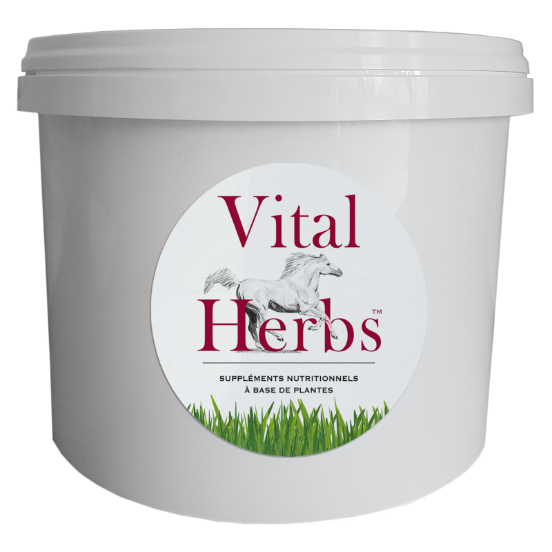 Seau vide plastique Vital Herbs