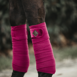 Bandages KENTUCKY velvet FUCHSIA