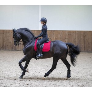 Tapis LeMieux RED CHILLI Classic Suede DRESSAGE