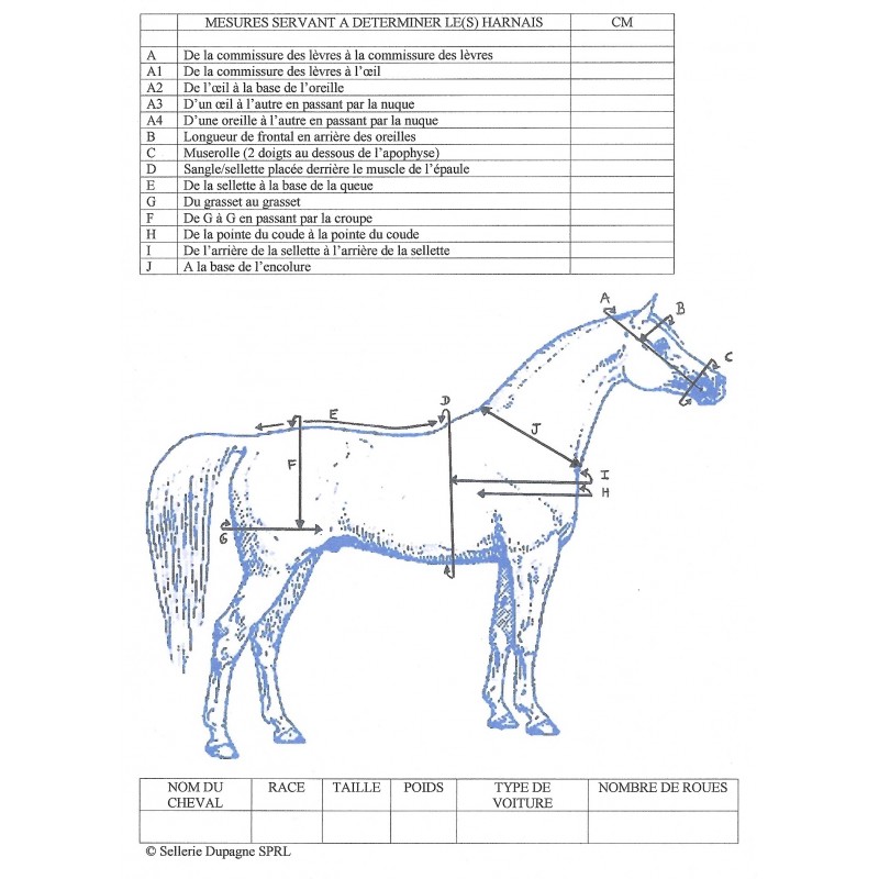 TABLEAU DES MESURES