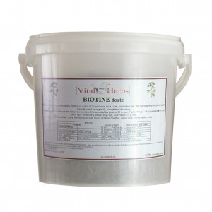 Biotine forte 1800gr Vital Herbs