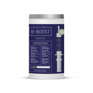 B-BOOST Bleu-Roy 5x30gr Energie