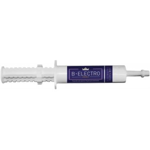 B-ELECTRO COMPACT Bleu-Roy 5x30gr Hydratation